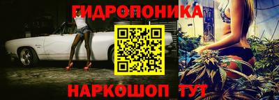 винт Кингисепп